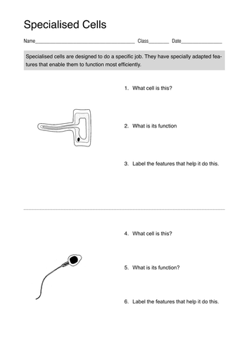 AQA GCSE Cell Biology Series of Full Lessons | Teaching Resources