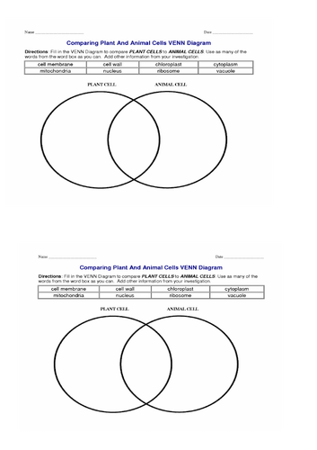 AQA GCSE Cell Biology Series of Full Lessons | Teaching Resources