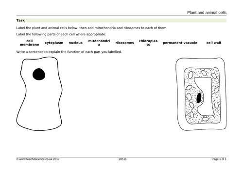 AQA GCSE Cell Biology Series of Full Lessons | Teaching Resources