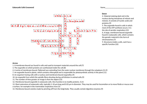 docx, 82.2 KB