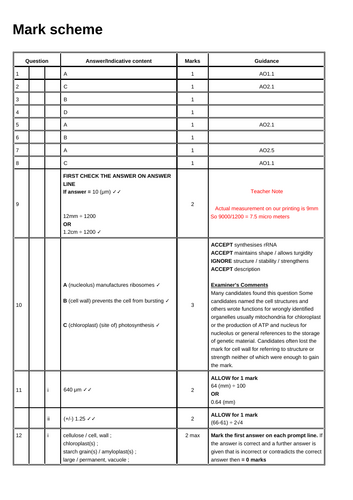 docx, 36.76 KB