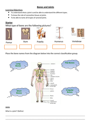 GCSE PE (AQA) complete lesson PP and worksheets for WHOLE SPEC ...