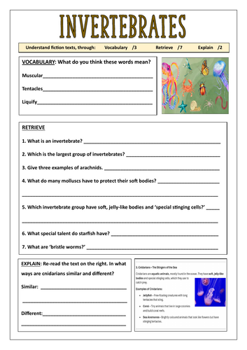 Invertebrates - Lower KS2 Reading Comprehension (with additional ...