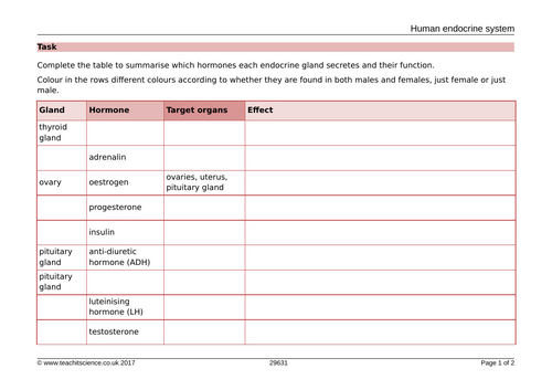 docx, 27.42 KB
