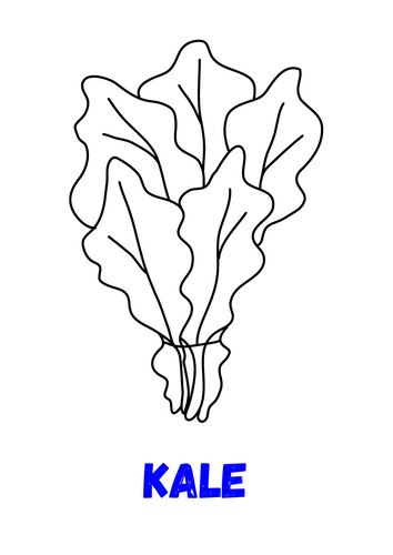 pdf, 27.59 KB