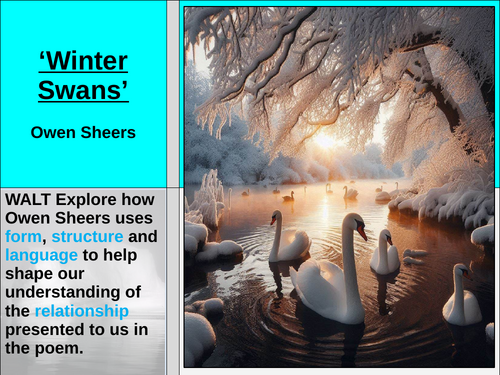 Winter Swans Love and Relationships Poetry