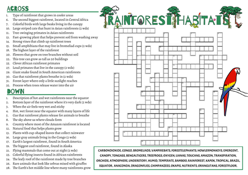 Rainforest Ecosystem Reading Pack | Teaching Resources