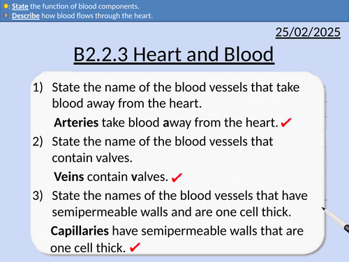 GCSE Biology: Heart and Blood