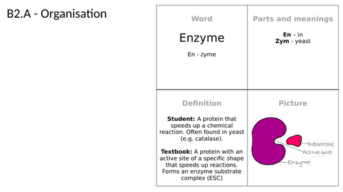 Biology GCSE Parts-Cards | Teaching Resources