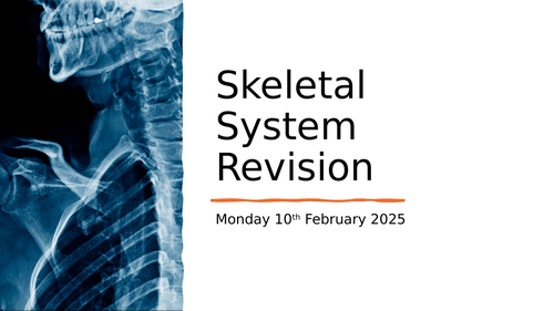 GCSE PE Skeletal System Revision Lesson | Teaching Resources