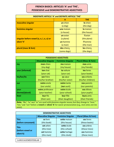 French Basics learning aids + Tenses + Irregular verbs | Teaching Resources