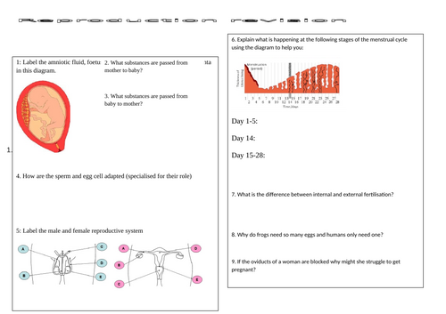 docx, 256.07 KB