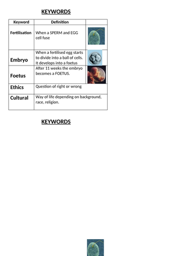 docx, 40.22 KB