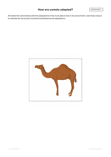 pdf, 155.1 KB