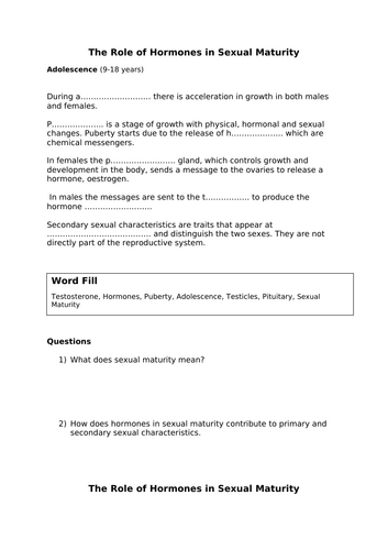 docx, 19.46 KB