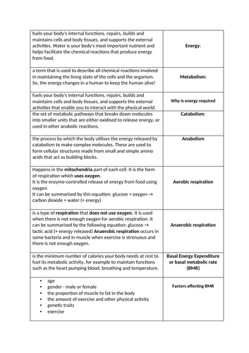 docx, 14.69 KB