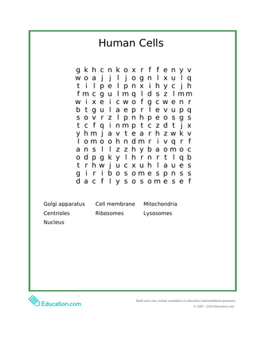 pdf, 40.62 KB