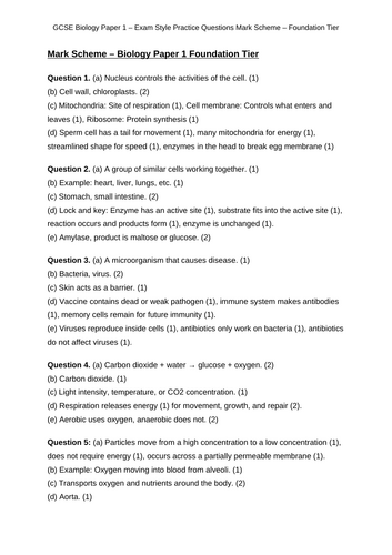 docx, 22.38 KB