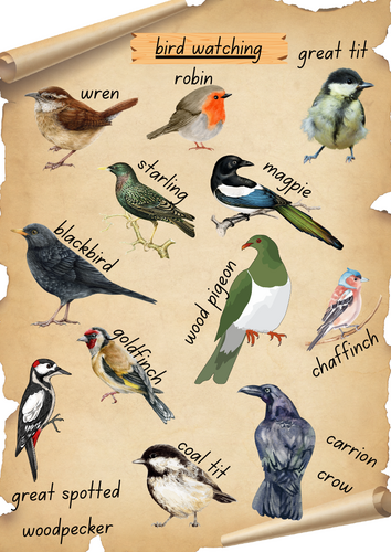 Bird watching EYFS mat