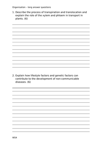 docx, 19.14 KB