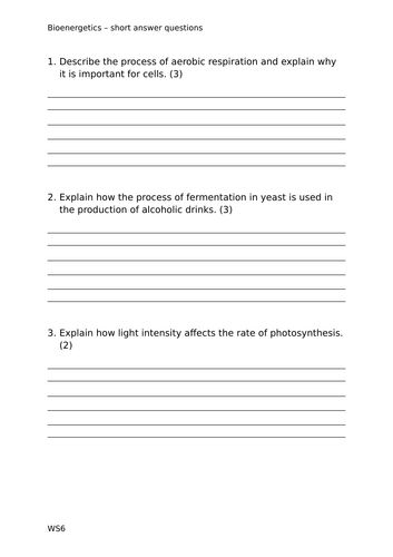 docx, 19.12 KB