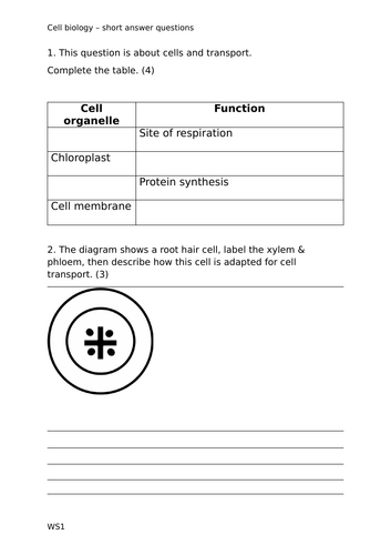 docx, 33.16 KB