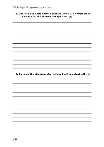 docx, 18.93 KB