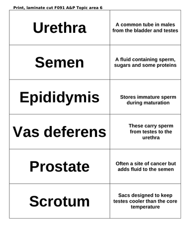 doc, 33.5 KB