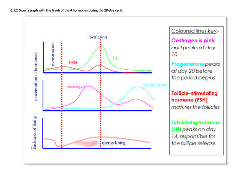 docx, 87.04 KB