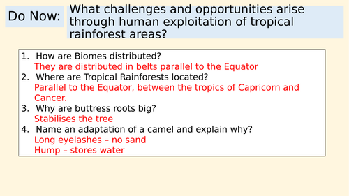 KS3 Ecosystems Low Ability: Amazon Rainforest