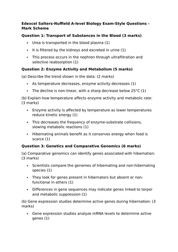 docx, 19.26 KB