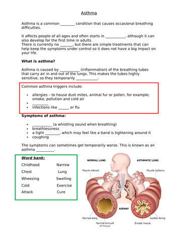 docx, 269.44 KB
