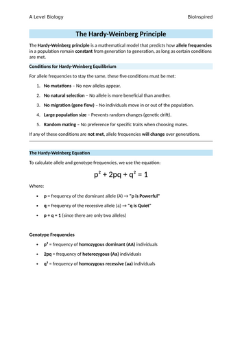docx, 301.95 KB