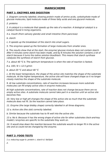 Digestive System and Enzymes AQA GCSE (9-1) Biology | Teaching Resources