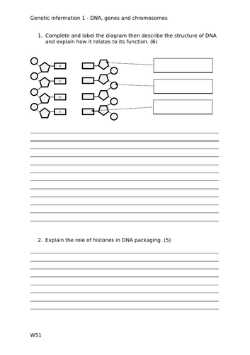 docx, 59.46 KB