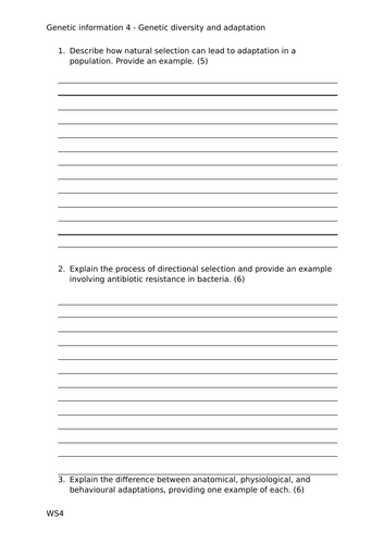 docx, 20.28 KB