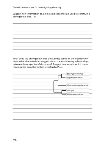 docx, 45.39 KB