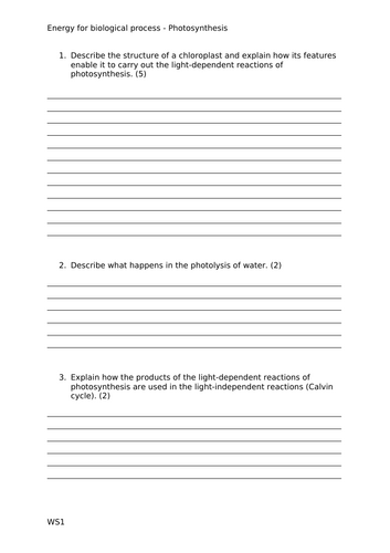 docx, 20.72 KB