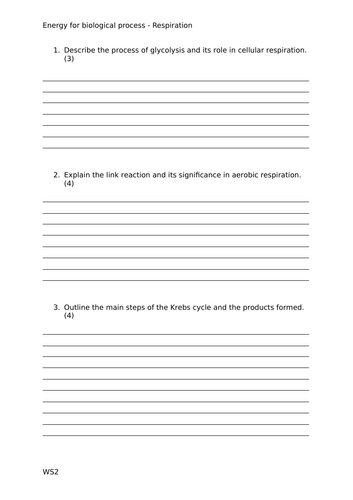 docx, 20.09 KB