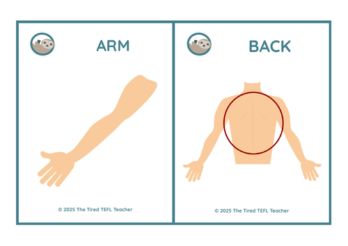 ESL Parts of the Body Flashcards | Teaching Resources