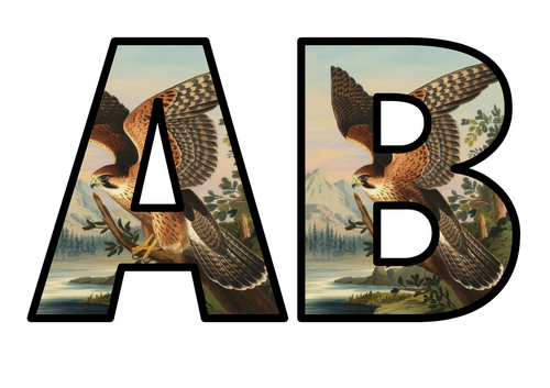Falcon Bird Animal of Prey Lettering Set Display Title Letters Numbers ...