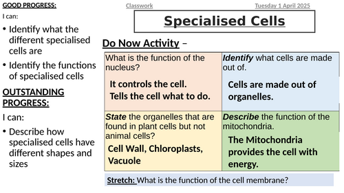 AQA Biology - B1.1 Cells and Transport | Teaching Resources