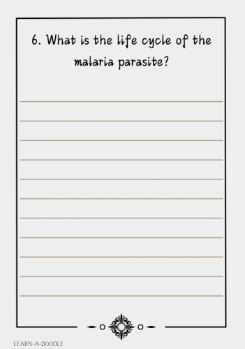 png, 43.34 KB