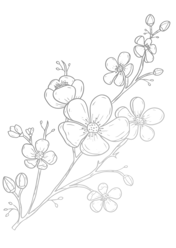 png, 594.29 KB