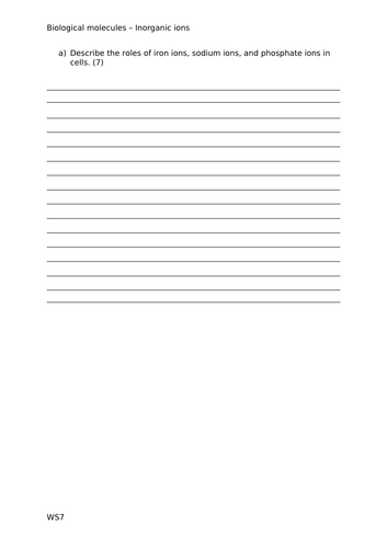 docx, 19.46 KB