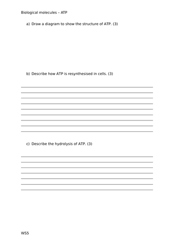 docx, 20.31 KB