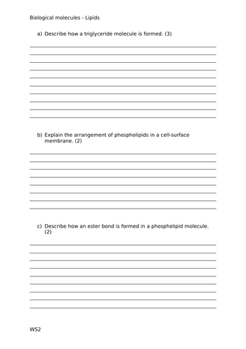 docx, 19.98 KB