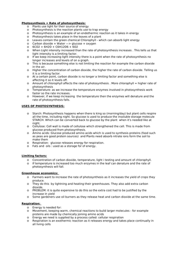 docx, 19.65 KB