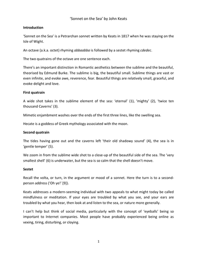 THONGS SEAHORSE SONNET main image 1