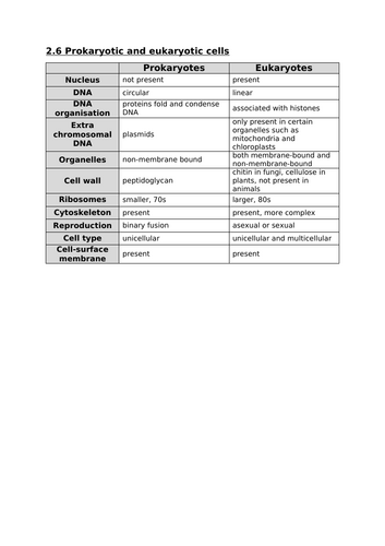 docx, 24.27 KB